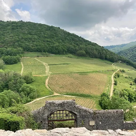 Mondeuse - Maison Viticole Boyeux-Saint-Jerome